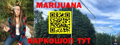 гидра Лесосибирск