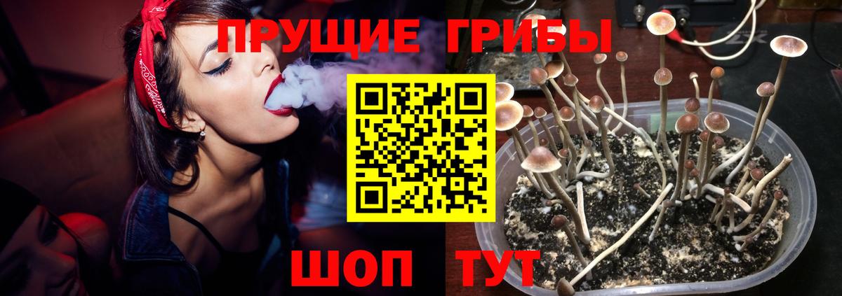 Галлюциногенные грибы Cubensis  Галлюциногенные грибы Cubensis  Вход с VPN  Шебекино 